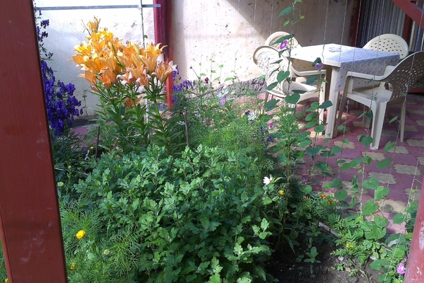 Фото квартиры