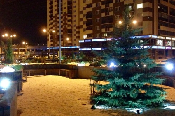 Фото квартиры