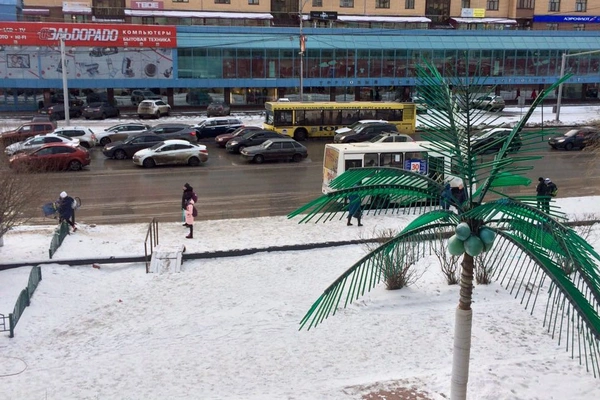 Фото квартиры