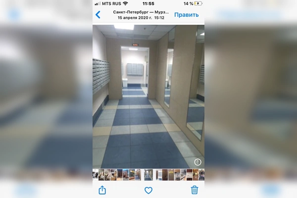 Фото квартиры