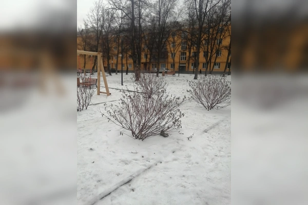 Фото квартиры