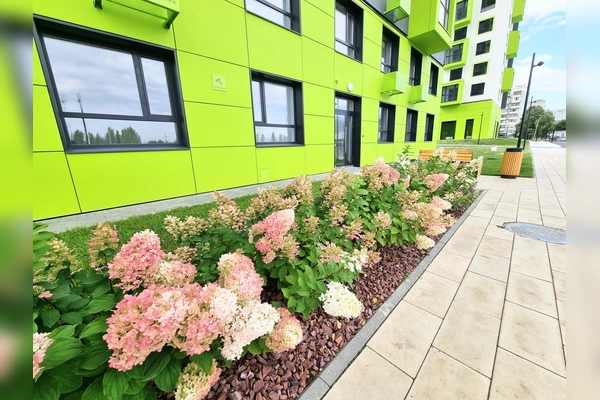 Фото квартиры