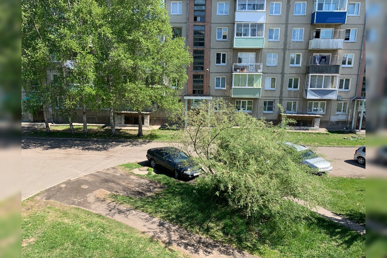 Фото квартиры