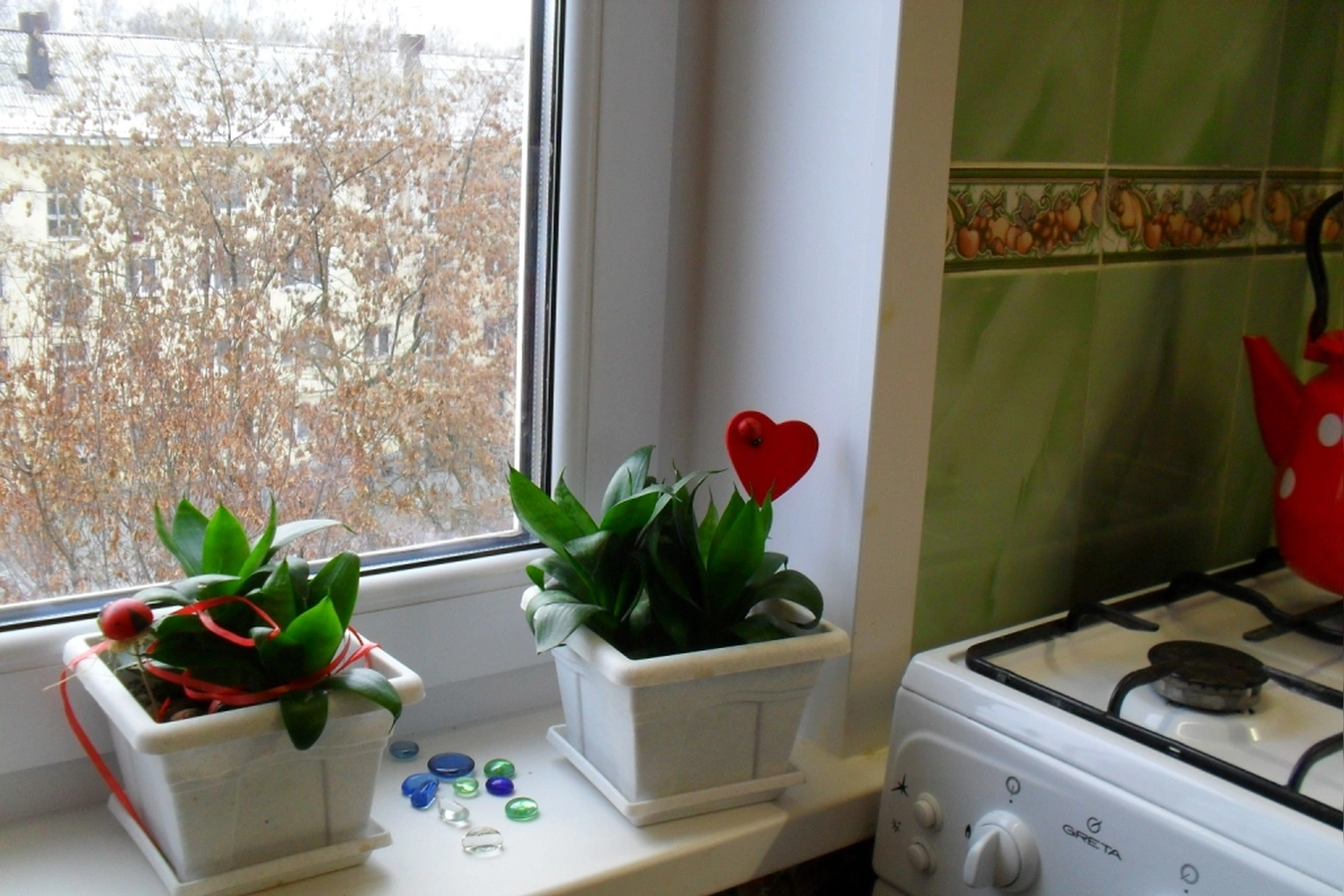 Фото квартиры