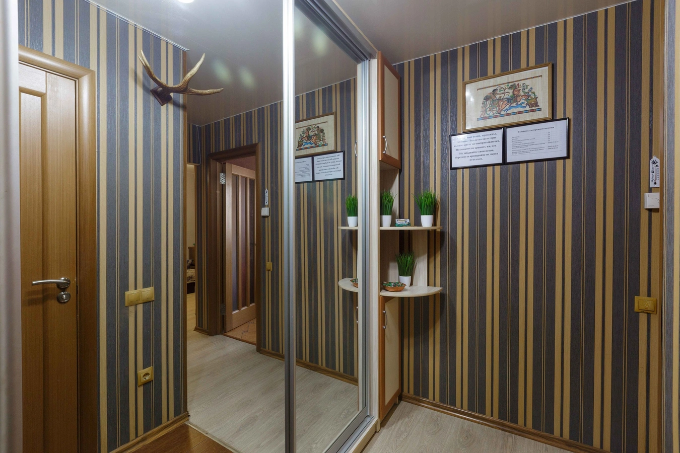 Фото квартиры