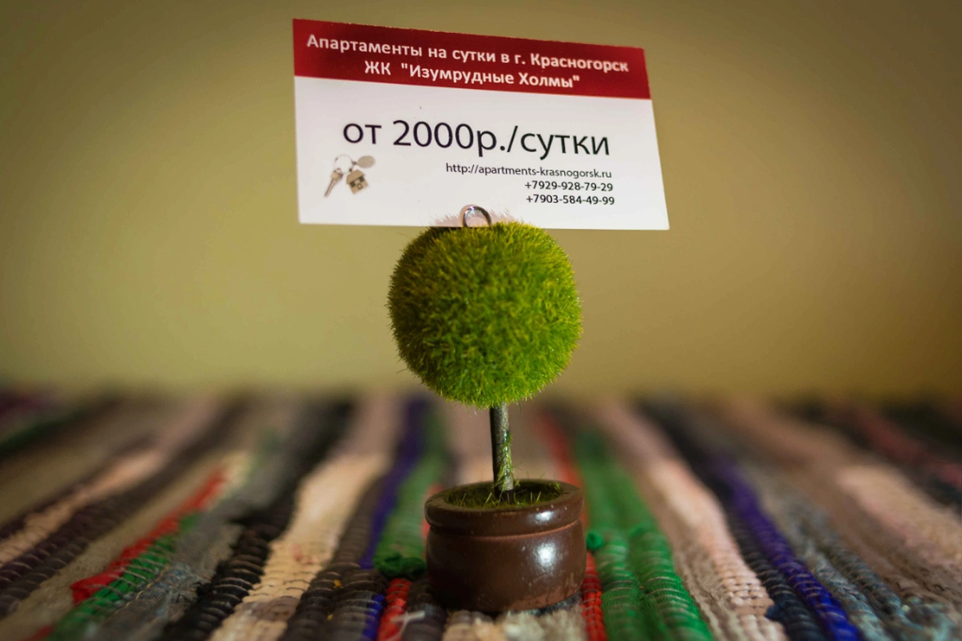 Фото квартиры