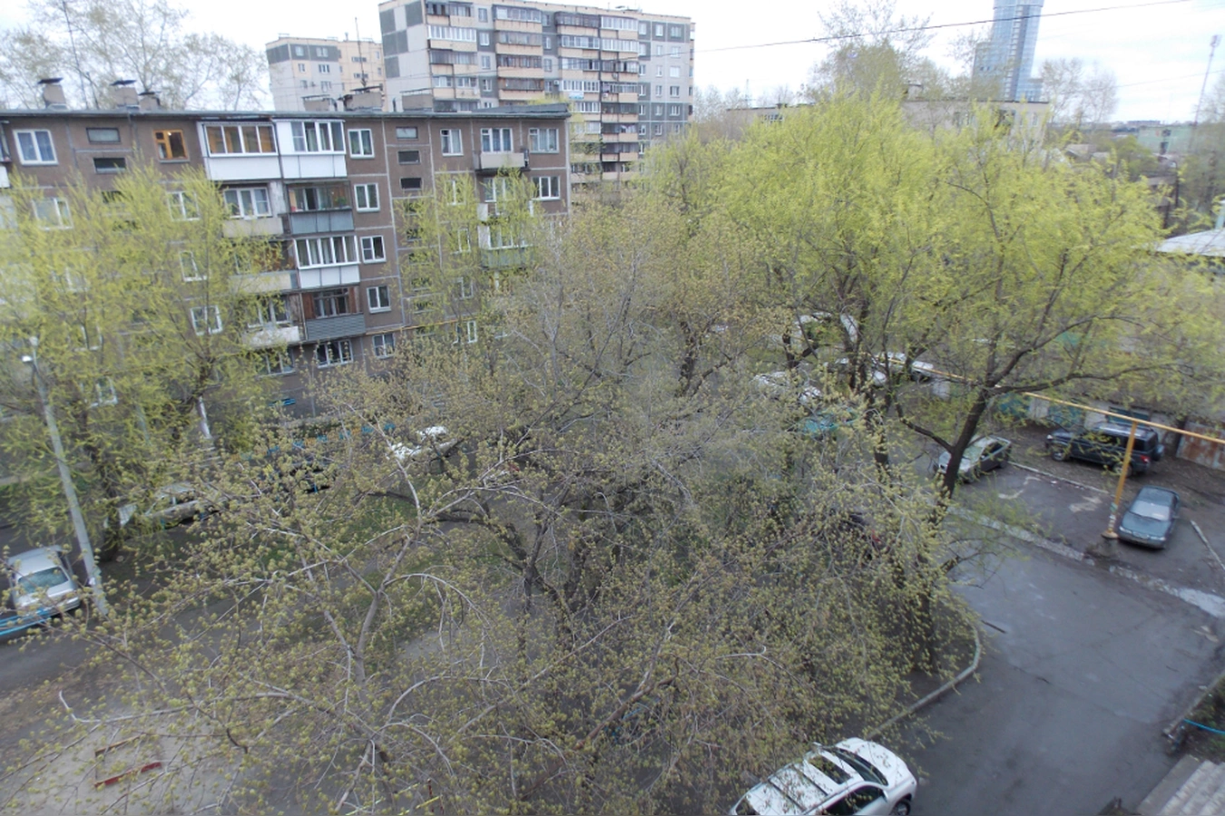 Фото квартиры