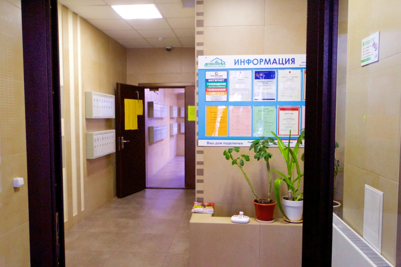 Фото квартиры