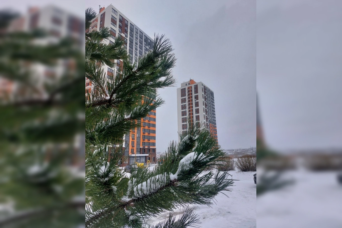 Фото квартиры