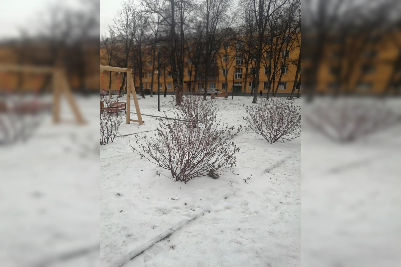 Фото квартиры