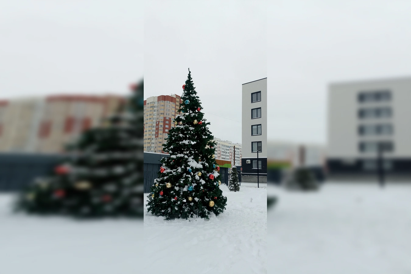 Фото квартиры