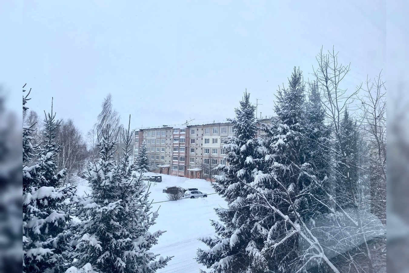 Фото квартиры